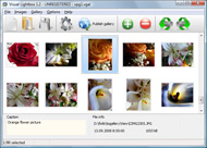 javascript open window with url parameters Free Website Photo Album Template