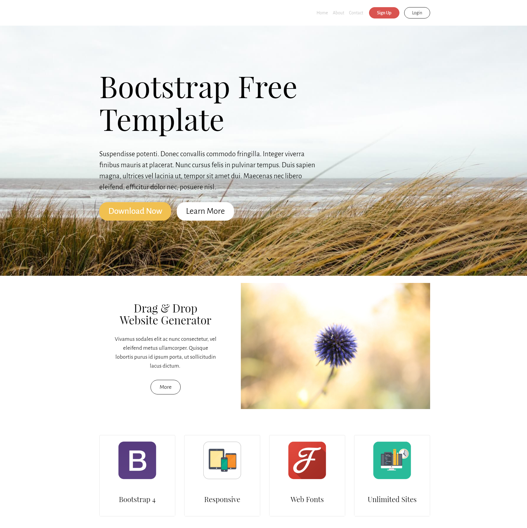 HTML5 Bootstrap PurityM Templates